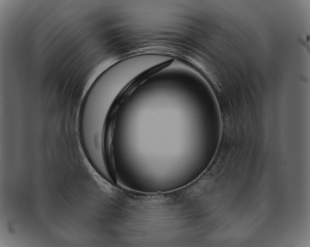 X0000091531426200709071030