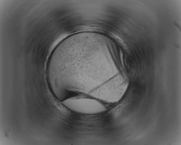 X0000091531427200709071030