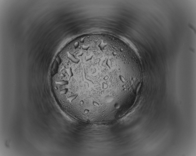 X0000091531429200709071030