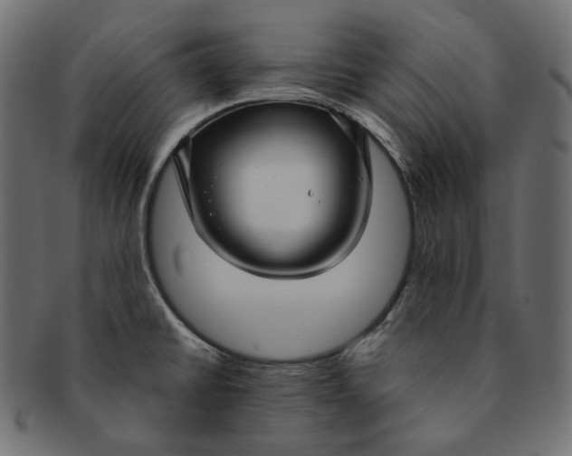 X0000091531430200709071030