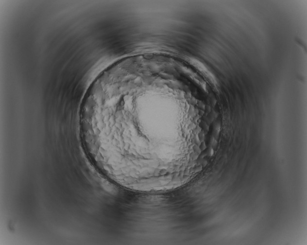 X0000091531431200709071030