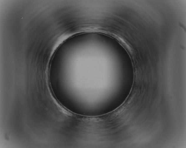 X0000091531432200709071030