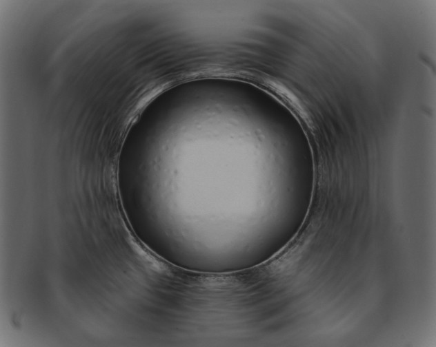 X0000091531433200709071030