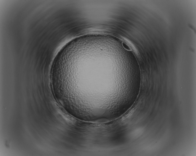 X0000091531435200709071030