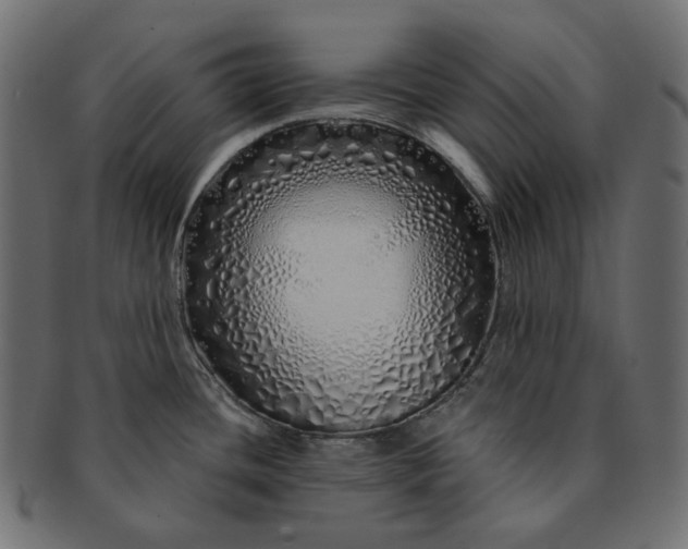 X0000091531436200709071030