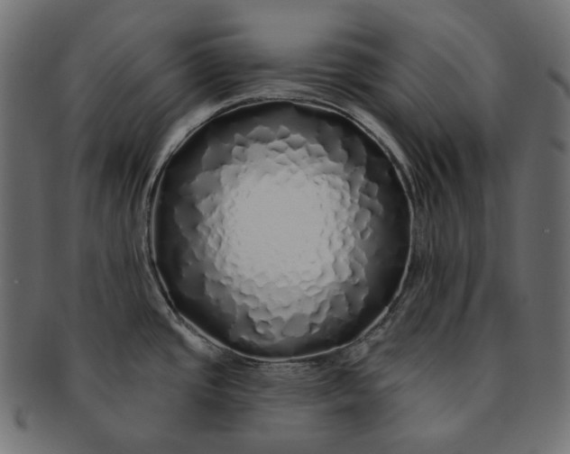 X0000091531437200709071030