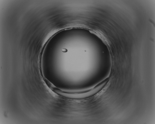 X0000091531438200709071030