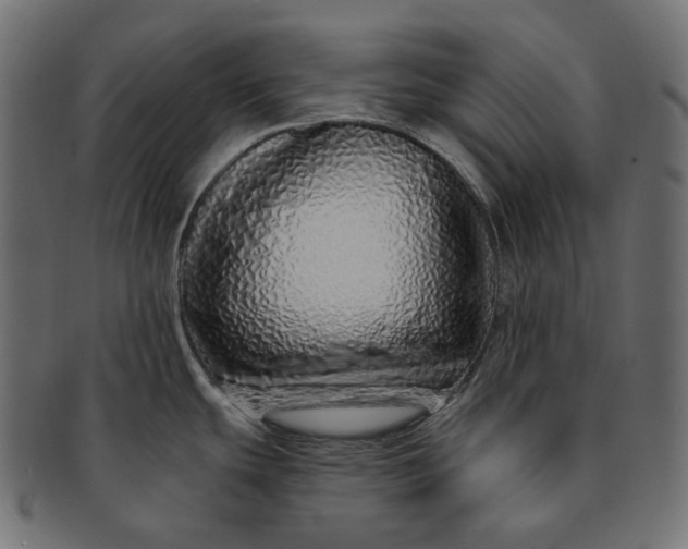 X0000091531439200709071030