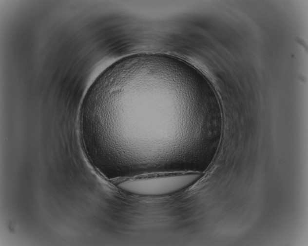 X0000091531440200709071030