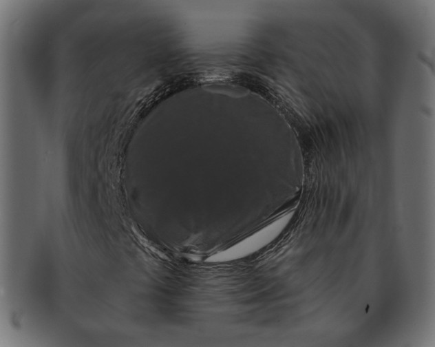 X0000091531441200709071030