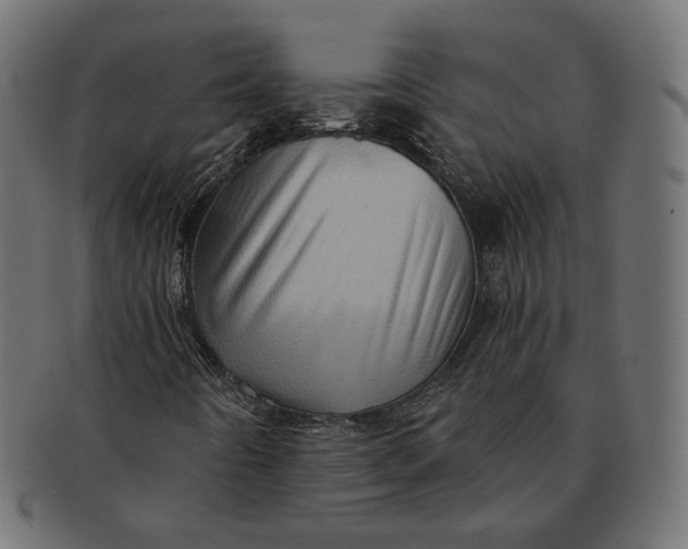 X0000091531442200709071030