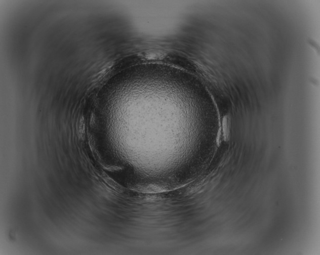 X0000091531443200709071029