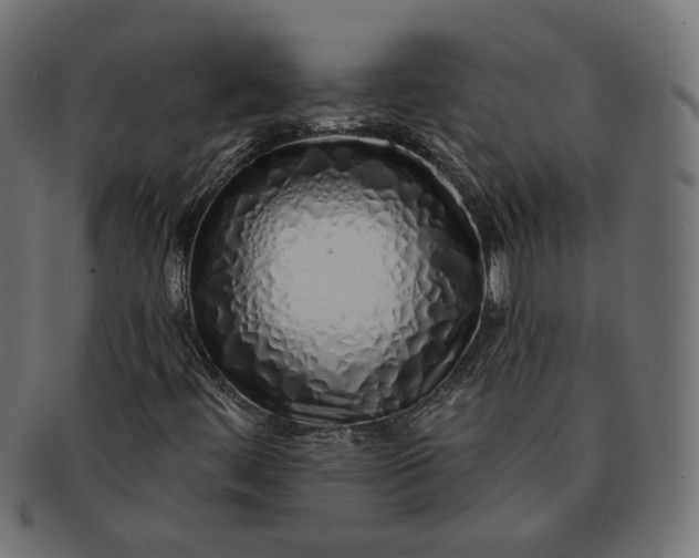 X0000091531444200709071029