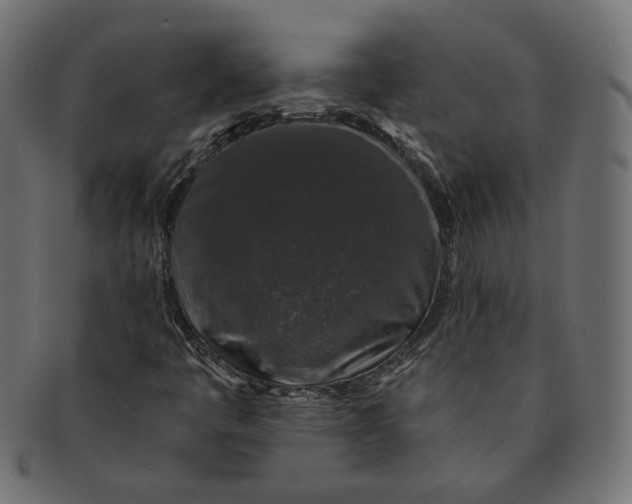 X0000091531445200709071029