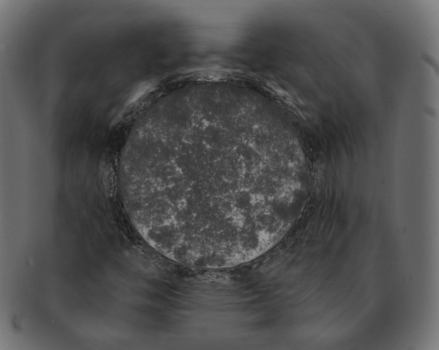 X0000091531446200709071029