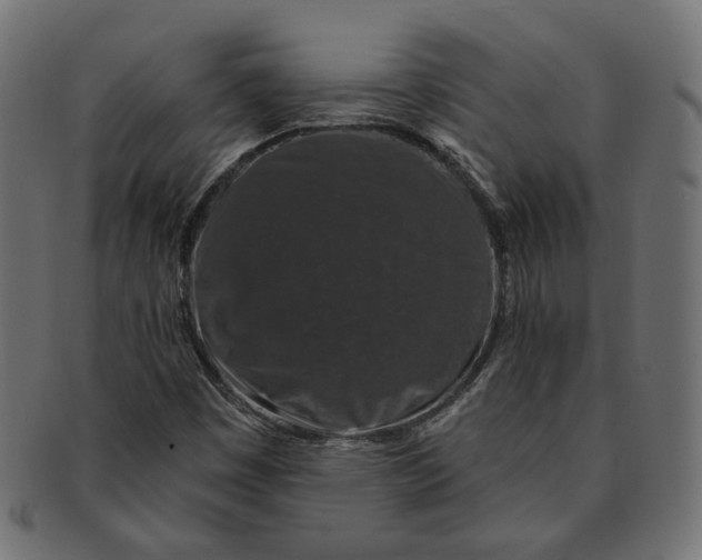 X0000091531449200709071029