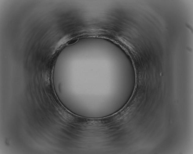 X0000091531451200709071029