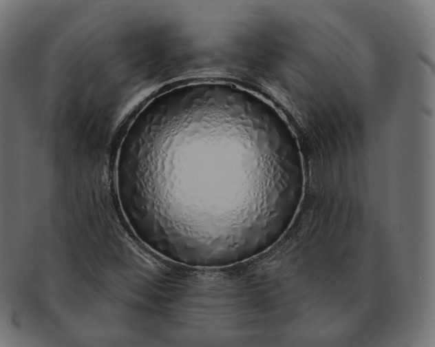 X0000091531452200709071029
