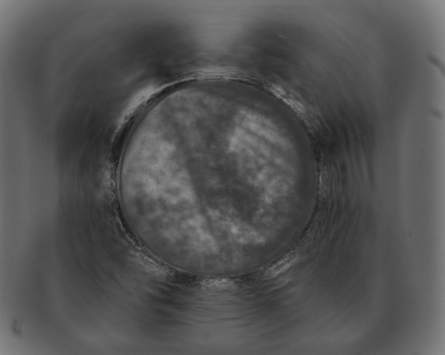 X0000091531454200709071029