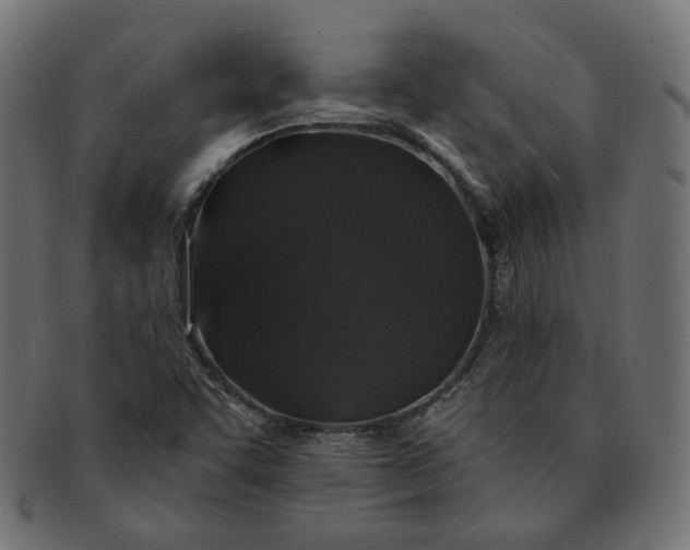 X0000091531455200709071029