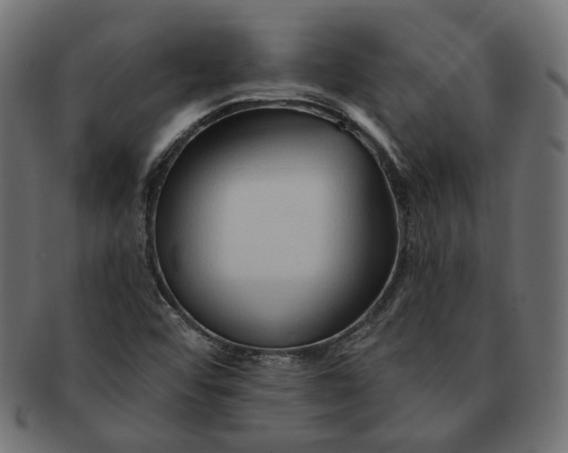 X0000091531456200709071029