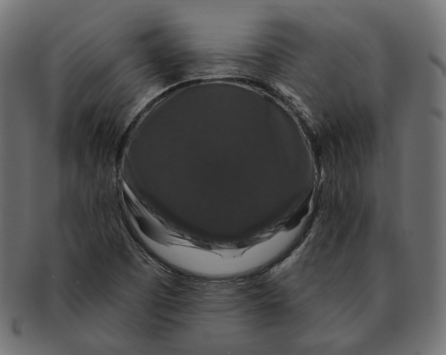 X0000091531457200709071029