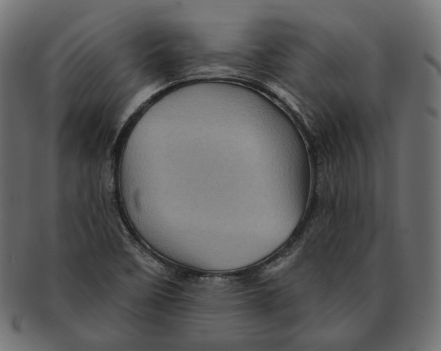 X0000091531458200709071029