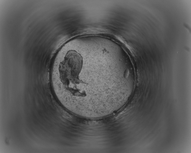 X0000091531459200709071029