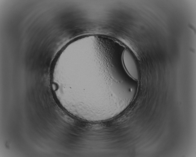 X0000091531460200709071029