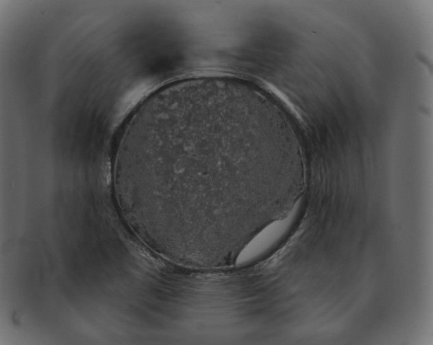 X0000091531461200709071029