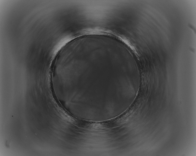 X0000091531463200709071029