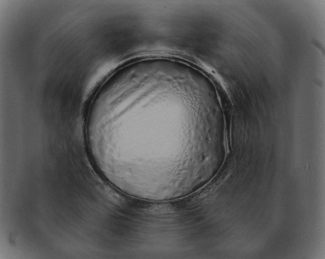 X0000091531464200709071029