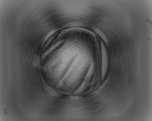 X0000091531465200709071029