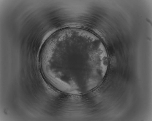 X0000091531466200709071029