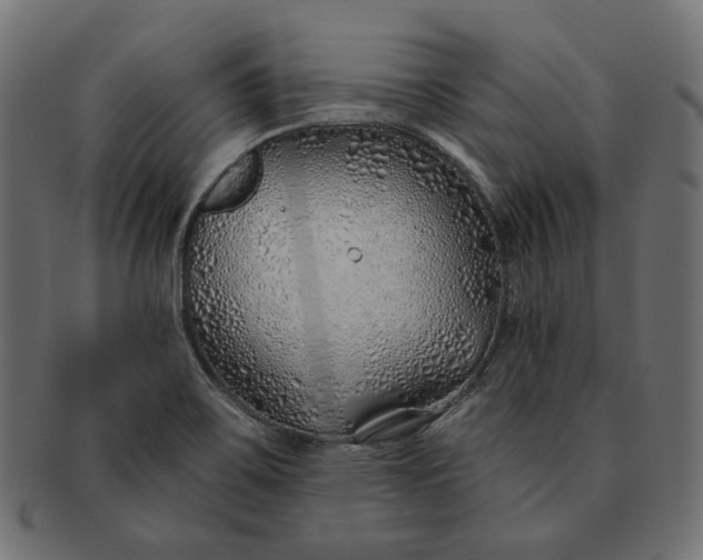 X0000091531467200709071029