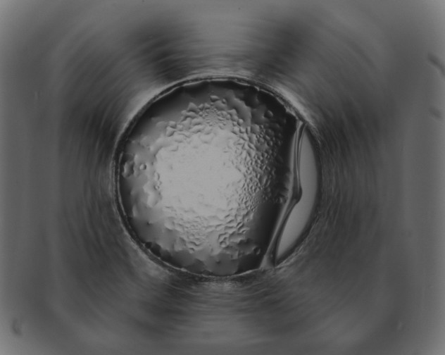 X0000091531468200709071029