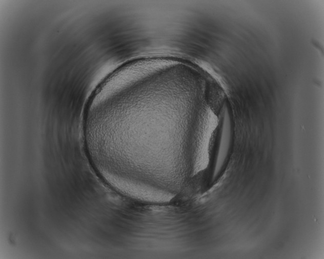 X0000091531469200709071029