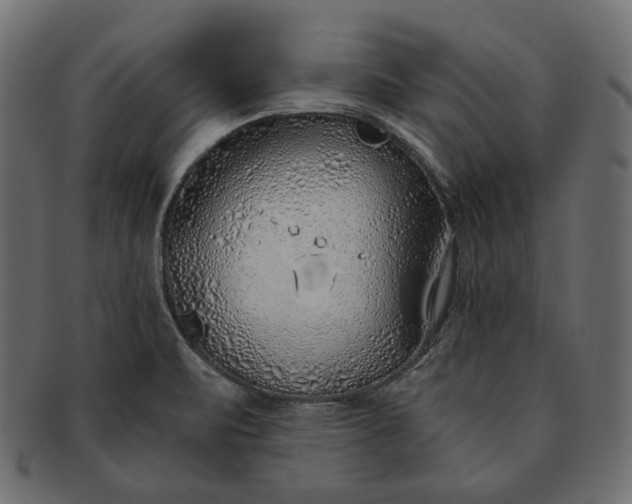 X0000091531471200709071029