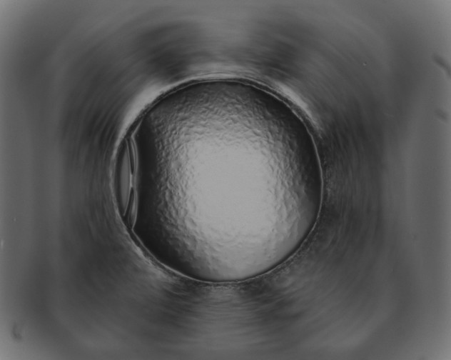 X0000091531472200709071029