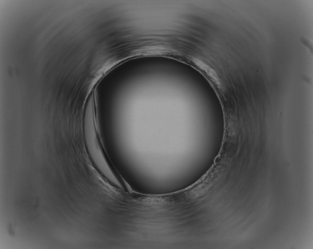 X0000091531473200709071029
