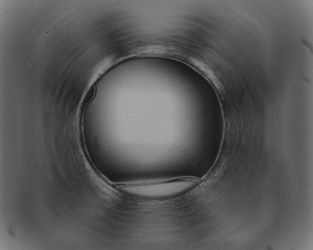 X0000091531475200709071029