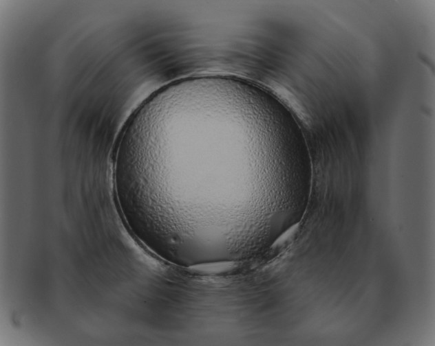 X0000091531476200709071029