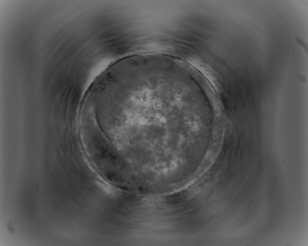 X0000091531477200709071029