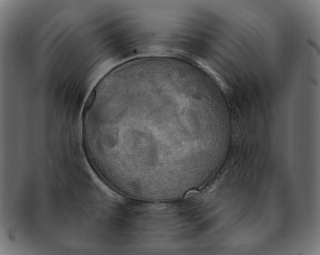 X0000091531479200709071029