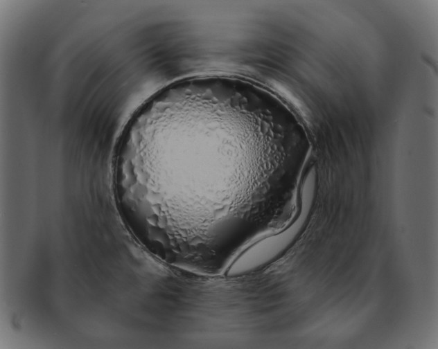 X0000091531480200709071029