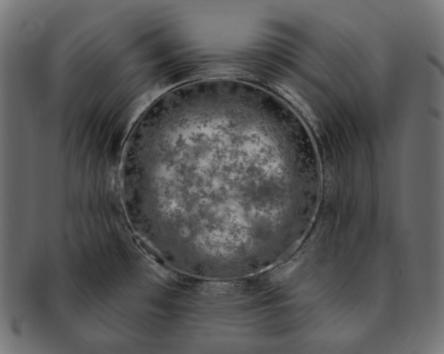 X0000091531481200709071029