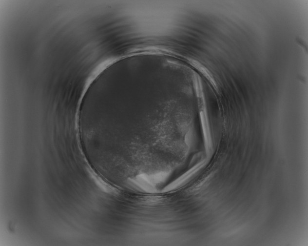 X0000091531482200709071029
