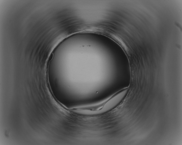 X0000091531483200709071029
