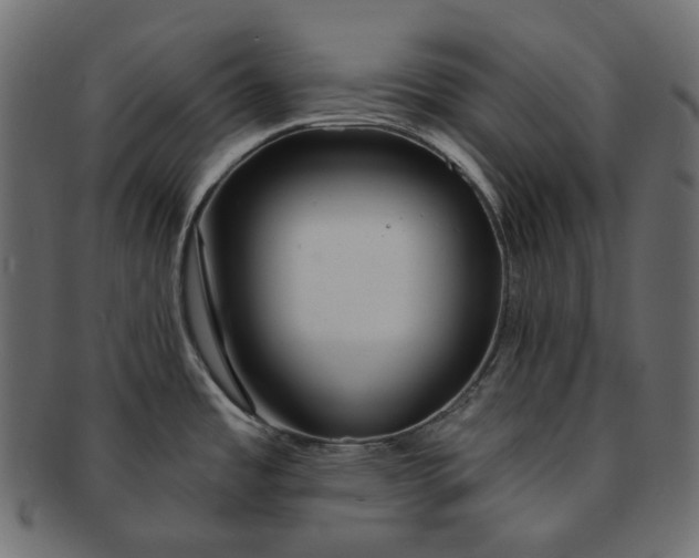 X0000091531485200709071029