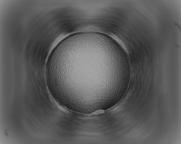 X0000091531486200709071029